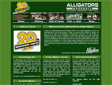 Tablet Screenshot of 20jahre.solingen-alligators.com